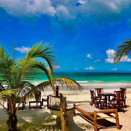 Simba Beach Zanzibar Kiwengwa  ภายนอก รูปภาพ