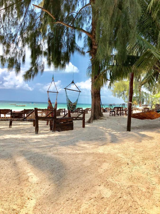 Simba Beach Zanzibar Bed & Breakfast Kiwengwa  ภายนอก รูปภาพ