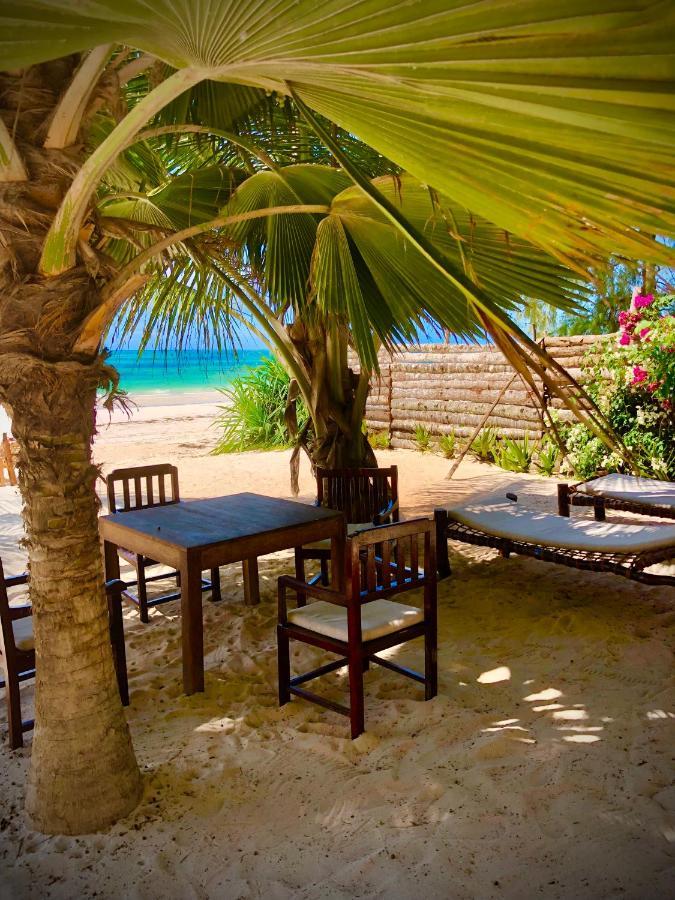 Simba Beach Zanzibar Bed & Breakfast Kiwengwa  ภายนอก รูปภาพ