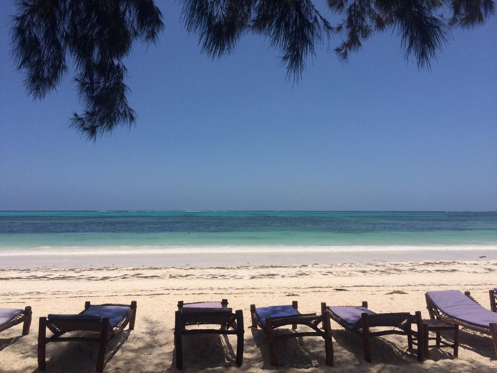 Simba Beach Zanzibar Kiwengwa  ภายนอก รูปภาพ