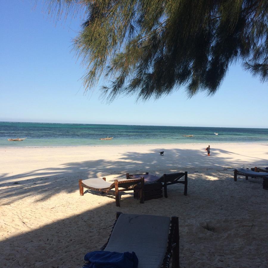 Simba Beach Zanzibar Bed & Breakfast Kiwengwa  ภายนอก รูปภาพ