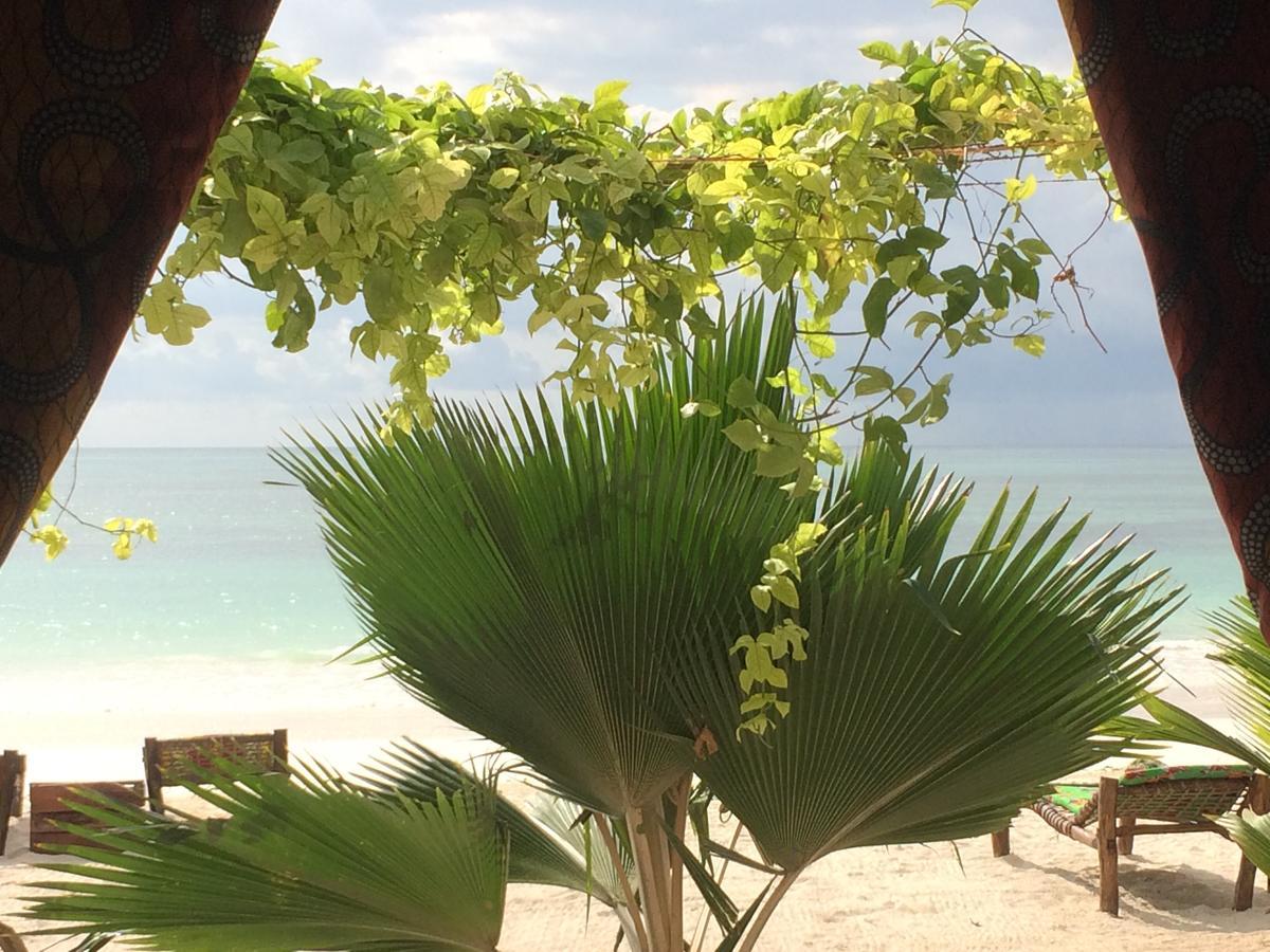 Simba Beach Zanzibar Bed & Breakfast Kiwengwa  ภายนอก รูปภาพ