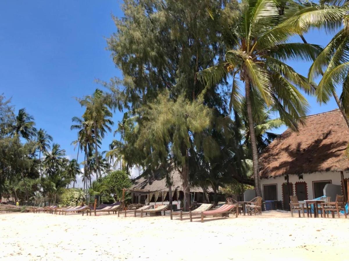 Simba Beach Zanzibar Bed & Breakfast Kiwengwa  ภายนอก รูปภาพ