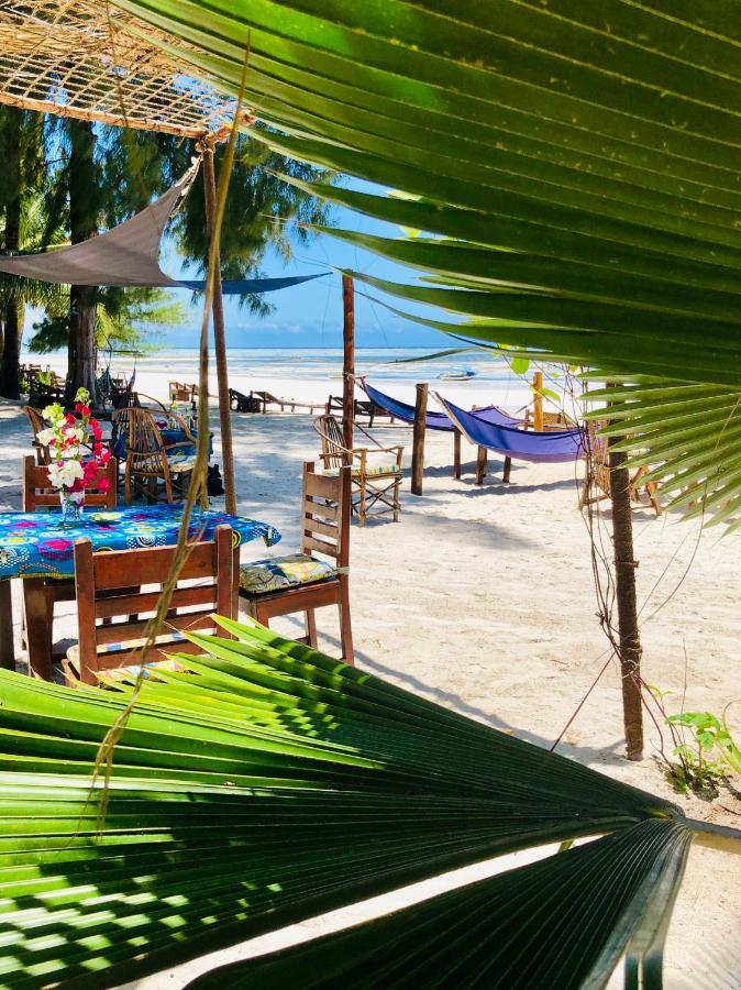 Simba Beach Zanzibar Bed & Breakfast Kiwengwa  ภายนอก รูปภาพ