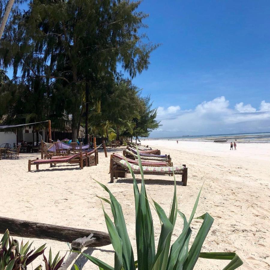 Simba Beach Zanzibar Bed & Breakfast Kiwengwa  ภายนอก รูปภาพ