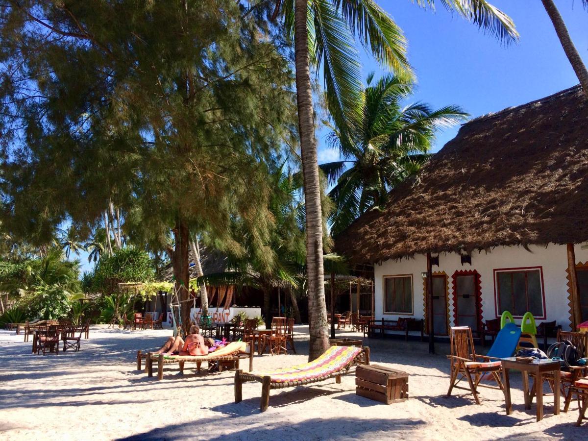 Simba Beach Zanzibar Kiwengwa  ภายนอก รูปภาพ